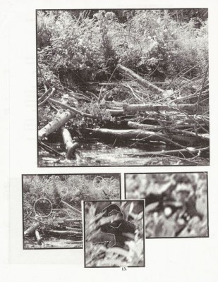 BigFoot Encyclopedia_Page_2425.jpg