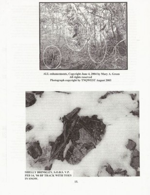 BigFoot Encyclopedia_Page_2427.jpg