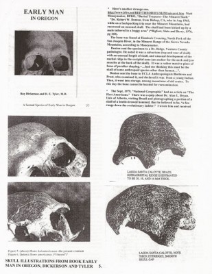 BigFoot Encyclopedia_Page_2303.jpg