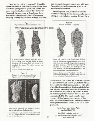 BigFoot Encyclopedia_Page_1166.jpg