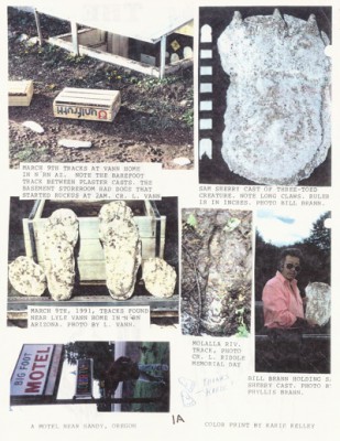 BigFoot Encyclopedia_Page_0371.jpg