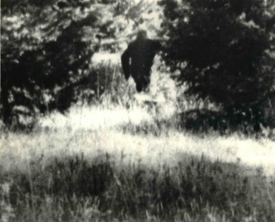 A 1970s Bigfoot photo submitted to The Oregonian by a hiker. (Oregonian archive)