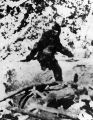 The most famous alleged Bigfoot image, by Roger Patterson and Bob Gimlin. (CBS TV)