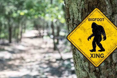 Does-Bigfoot-Roam-The-Uwharrie-National-Forest-featured.jpg