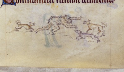 Wodewose surrounded by dogs from the Queen Mary Psalter, England, c. 1310–1320, Royal MS 2 B VII, f. 173r