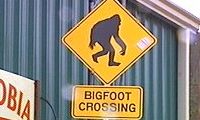 bigfoot+crossing+honobia.jpg