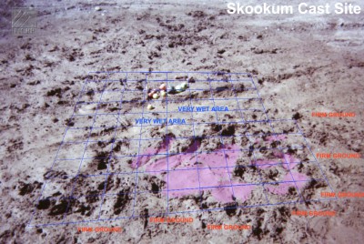 SkookumSite_10_InchGrid.jpg