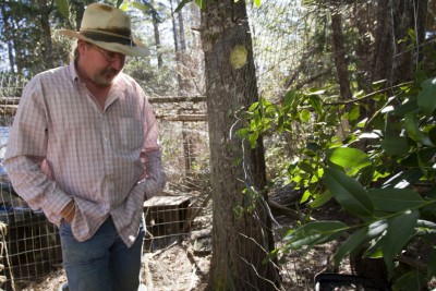 Stewart examines the spot on his fence where he found the hair samples. The Daily Triplicate/Bryant Anderson