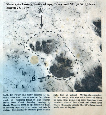 mt-st-helens-bigfoot-print_tn.jpg