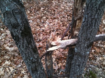 About 3 1/2&quot; in diameter.
