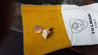 20160511_090741.jpg