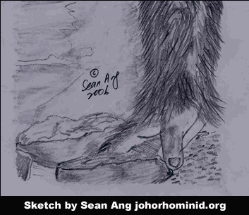 Hoaxer's sketch of creature's hand, posted to the website