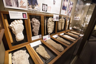 Various Sasquatch related items, including footprint casts are on display, as part of the Sasquatch exhibit, at the Yakima Valley Museum.