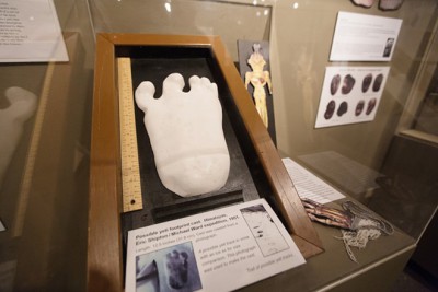 A possible Yeti footprint cast, part of the Sasquatch exhibit, is on display at the Yakima Valley Museum,