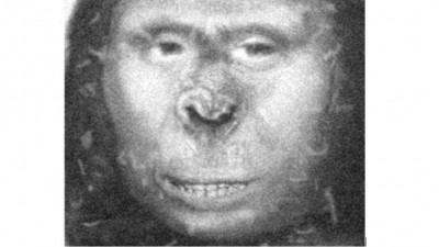 Featured Image: Artist’s representation of Zana, who lived in 19th Century Russia - and appeared to be 'half human, half ape'. Mail Online